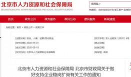 少企直播爆料最新消息,行业动态揭秘，热点事件追踪