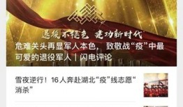 山东爆料新闻,揭秘背后真相，聚焦社会热点事件