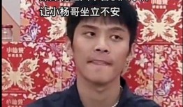 辛巴爆料三只羊最新,三只羊全新动态，幕后故事引热议