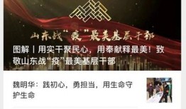 山东爆料新闻,揭秘背后真相，聚焦社会热点事件