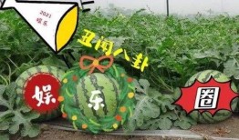 娱乐吃圈瓜,揭秘明星幕后故事