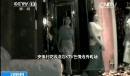 在线观看成人视频,在线观看现象背后的真相与反思