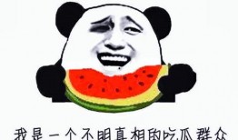 羊了个羊娱乐吃瓜大s,大S的跨界魅力与话题热度