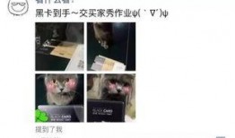 娱乐爆料君道歉,揭秘背后真相与反思