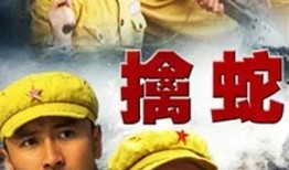 连续集擒蛇在线观看,惊险追踪，揭秘神秘蛇影