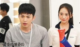 头号爆料李鸿其刘芮麟视频,幕后故事引热议