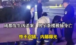 成都晚安爆料事件真相视频,揭秘真相背后的曲折历程
