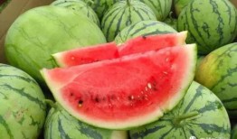 网红爆料仓今日吃瓜