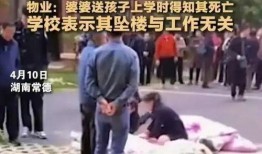 坠楼老师爆料视频大全最新,揭开教育乱象背后的真相