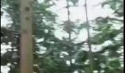 连续集擒蛇在线观看,惊险追踪，揭秘神秘蛇影