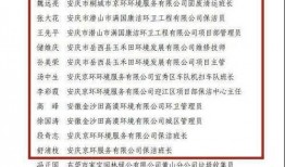 岳西最新爆料新闻报道,揭秘事件背后惊人真相！