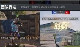 赵梓婷爆料斩虎视频,震撼视频引网友热议