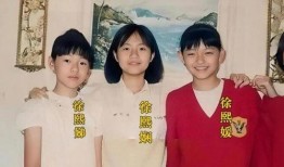 徐家姐妹爆料视频大全,揭秘背后惊人真相