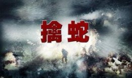 连续集擒蛇在线观看,惊险追踪，揭秘神秘蛇影